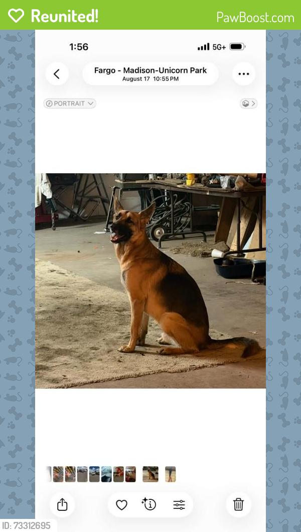 Reunited Male Dog last seen Near 19th St N Fargo, ND 58102, Fargo, ND 58102