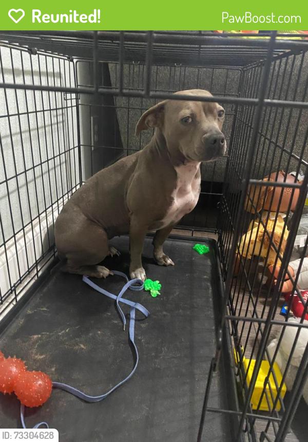 Reunited Female Dog last seen Green hill Lane, Jacksonville, FL 32211