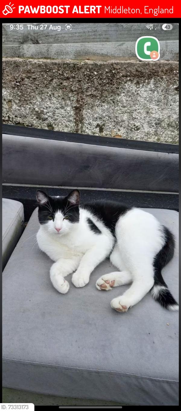 Lost Male Cat last seen Middleton, Middleton, England 