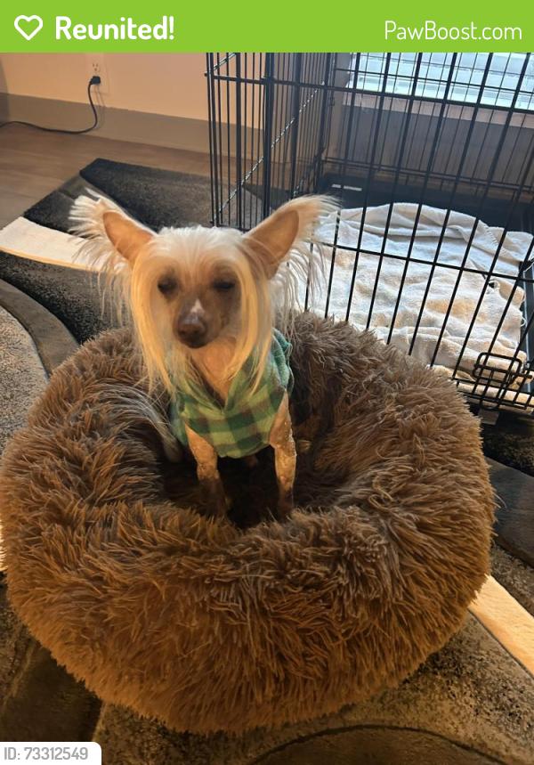 Reunited Male Dog last seen Eastwood and Longspur, Reynoldsburg, OH 43068