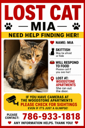 Reunited Female Cat last seen Near Hartman circle, St. Peters, MO 63304