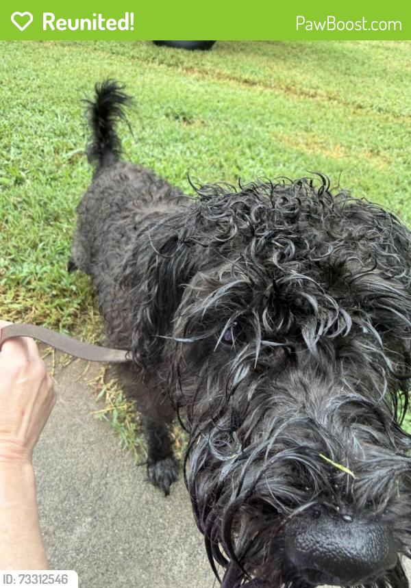 Reunited Male Dog last seen Wild Cherry Ln and Juniper Dr, Davidson County, NC 27292