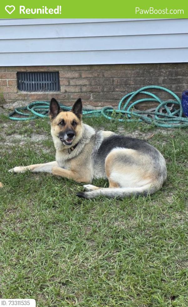 Reunited Female Dog last seen Near Applegate Rd, Hope Mills, NC 28348, USA, Hope Mills, NC 28348