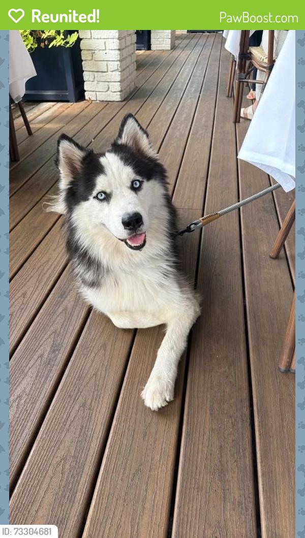 Reunited Male Dog last seen Locke Ave and Lovell Ave near TownPlace Suites, Fort Worth, TX 76107