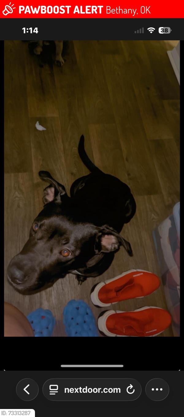 Lost Male Dog last seen Mueller street, Bethany, OK 73008