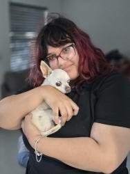 Reunited Female Dog last seen 297th St, Homestead, FL 33033