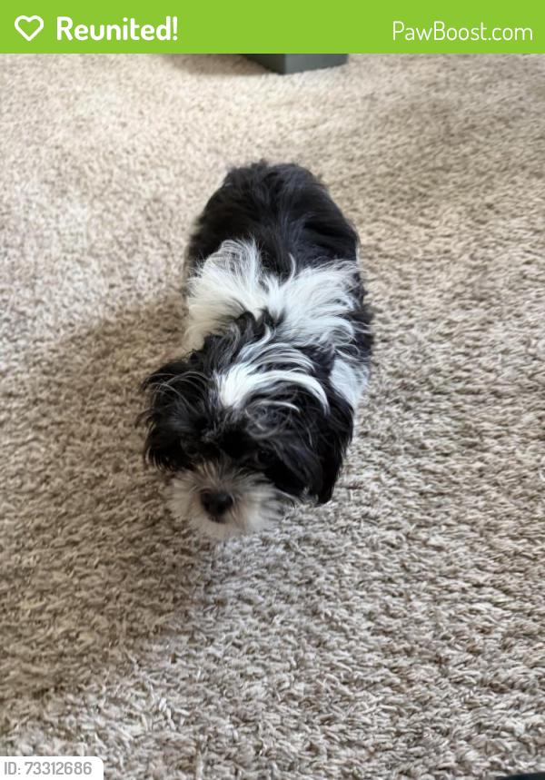 Reunited Unknown Dog last seen Stadium Pointe s, near NISD Sports Complex, San Antonio, TX 78249
