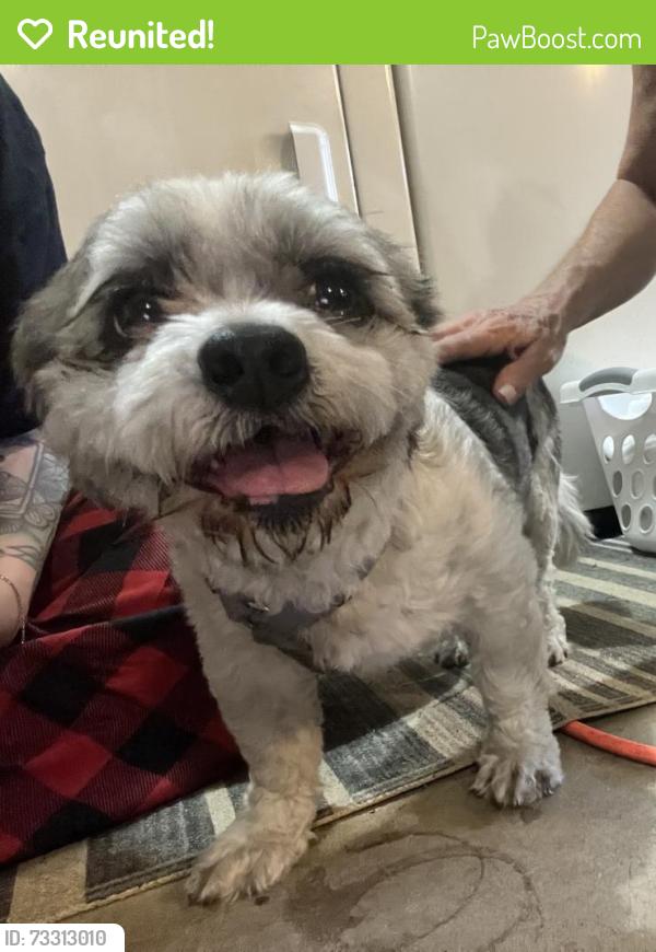 Reunited Female Dog last seen Fallon Blvd and Babcock, Palm Bay, FL 32907