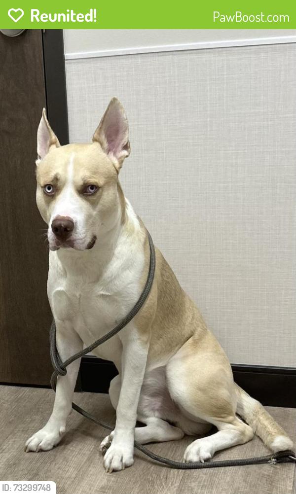 Reunited Male Dog last seen Near Gull Rd, Richland, MI 49083, USA, Richland, MI 49083