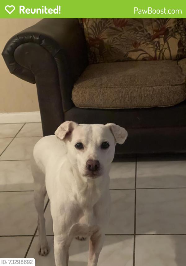 Reunited Male Dog last seen Sunset rd, Golden Gate, FL 34116