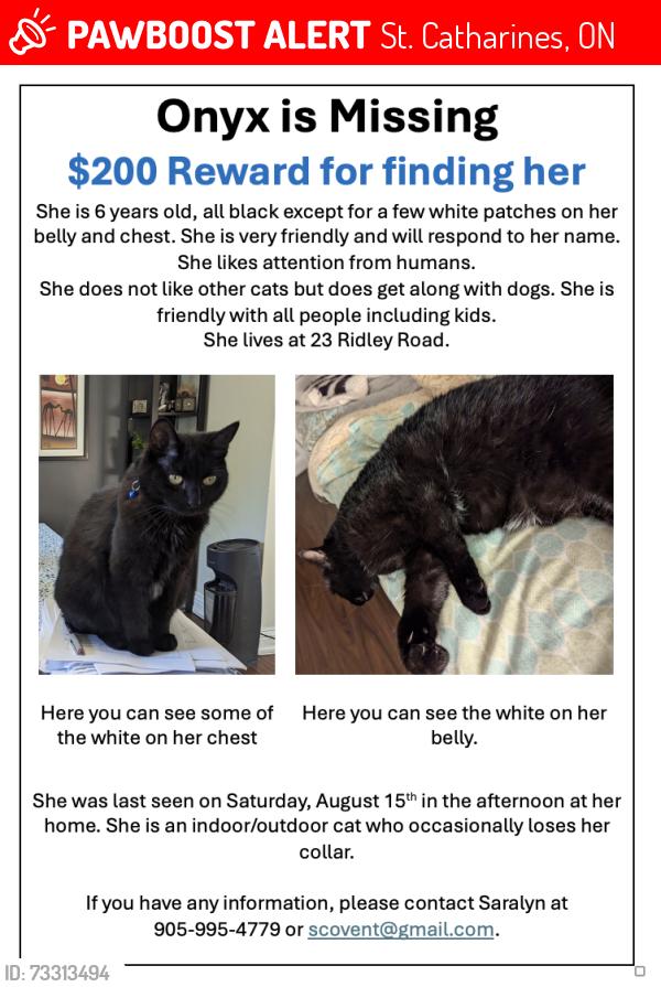 Lost Female Cat last seen Louth and St.Paul, Ridley College, St. Catharines, St. Catharines, ON 