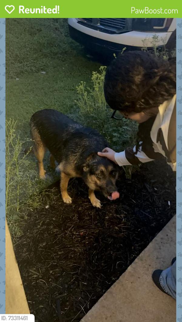 Reunited Male Dog last seen Old Bremen Road, Carrollton, GA 30117