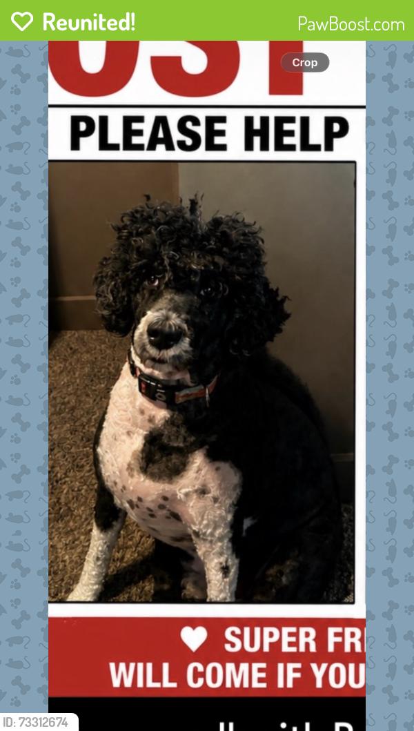 Reunited Male Dog last seen Ballpark, Salt Lake City, UT 84111