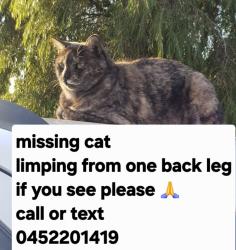 Lost Female Cat last seen Near elsternwick Way craigieburn, Craigieburn, VIC 3064