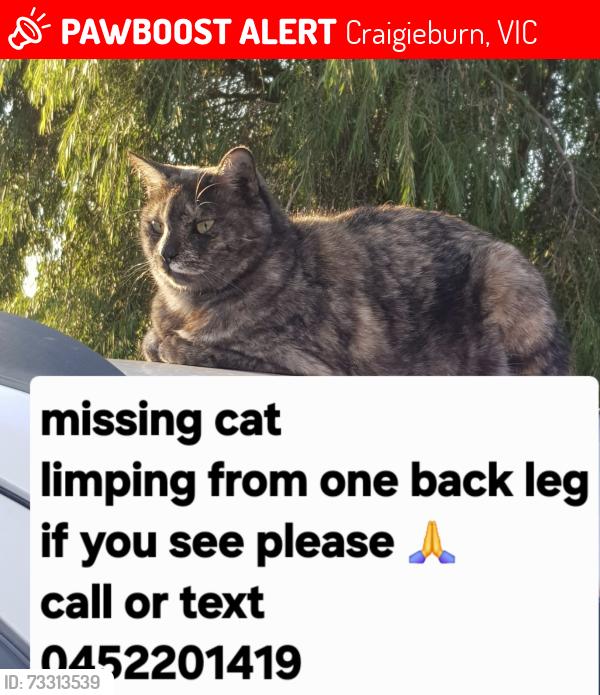 Lost Female Cat last seen Near elsternwick Way craigieburn, Craigieburn, VIC 3064