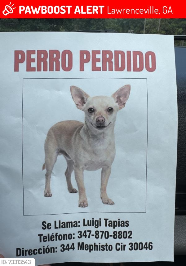 Lost Male Dog last seen Near Mephisto cir 30046, Lawrenceville, GA 30046