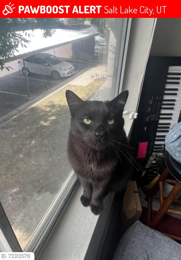 Lost Male Cat last seen Near south 900 west, Salt Lake City, UT 84104
