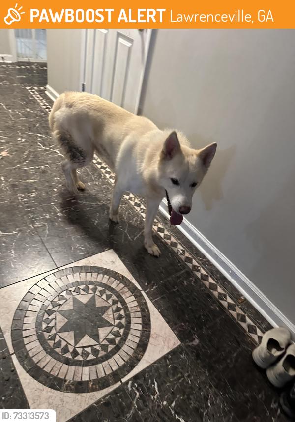 Found/Stray Male Dog last seen James Rd, Lawrenceville, GA 30044