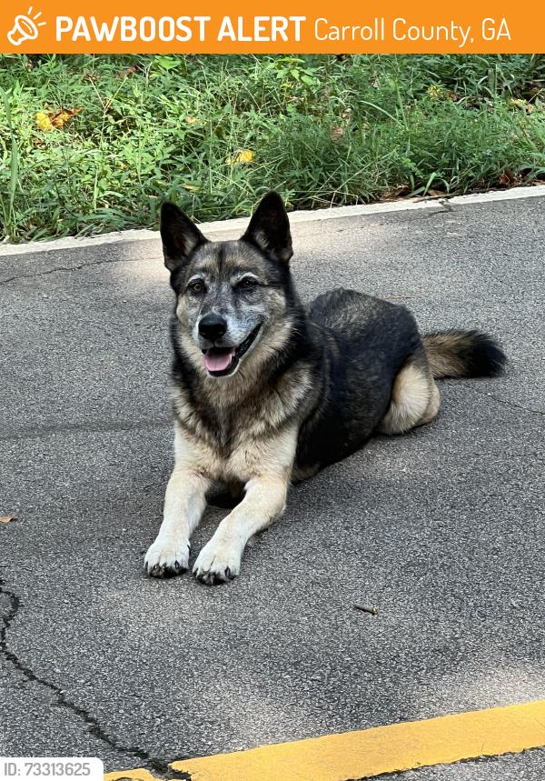 Found/Stray Unknown Dog last seen Blackjack Mountain, Carroll County, GA 30108