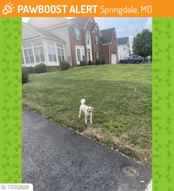 Found/Stray Unknown Dog last seen Glenkirk Way, Bowie, MD 20721