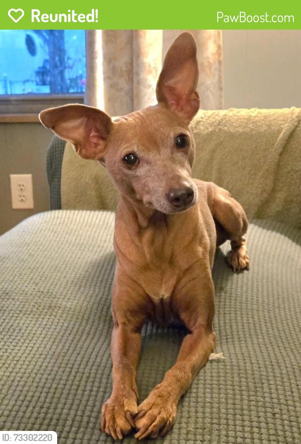 Reunited Female Dog last seen Baxter Avenue, Knoxville, TN 37917