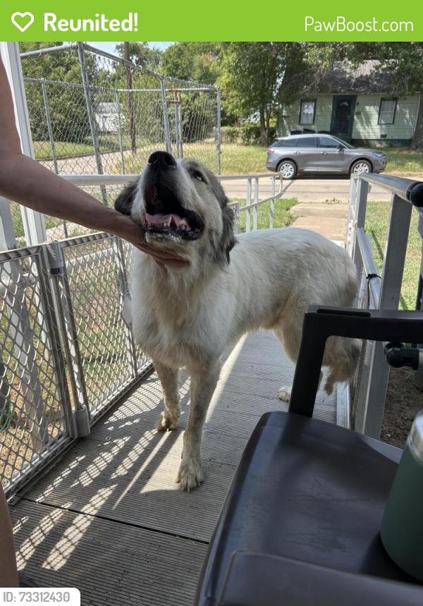 Reunited Unknown Dog last seen E King Pl and N Newhaven Ave, Tulsa, OK 74115