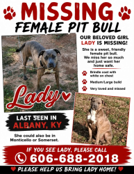 Lost Female Dog last seen martha Stockton Rd. near hwy 553, Albany, KY 42602