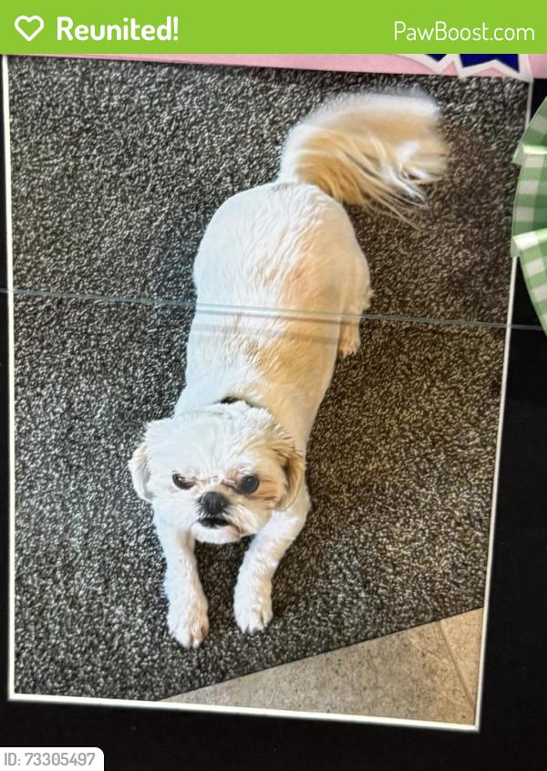 Reunited Female Dog last seen Sherman, Kennewick, WA 99338