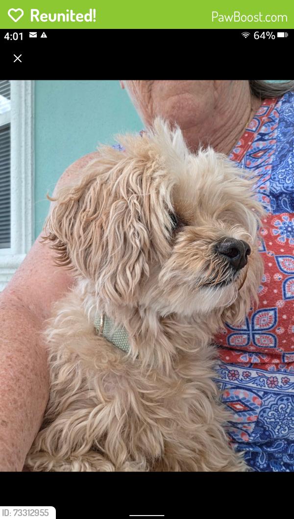 Reunited Unknown Dog last seen 13th ave n & Russell Dr. 33710, St. Petersburg, FL 33713