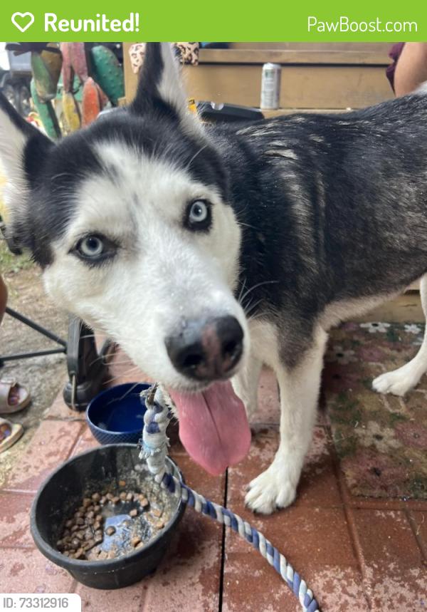 Reunited Unknown Dog last seen Crockett Martin Rd 77306 Conroe, Montgomery County, TX 77306