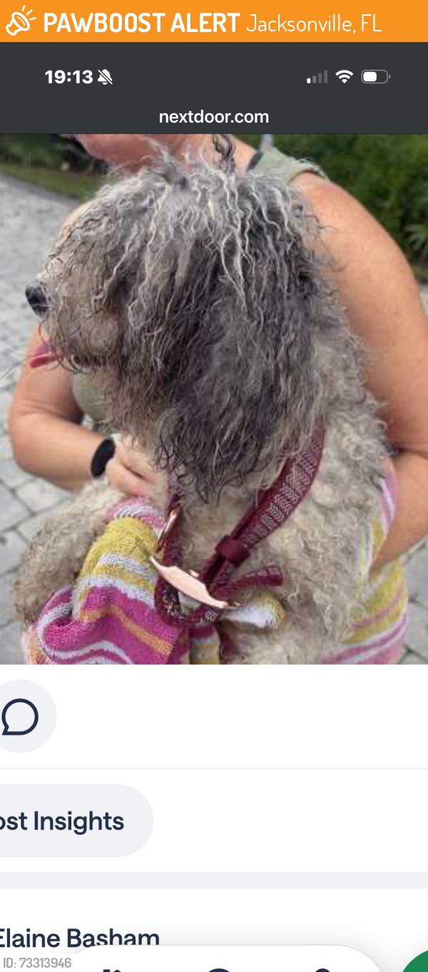Found/Stray Male Dog last seen Fort George Road and Heckscher Drive, Jacksonville, FL 32226