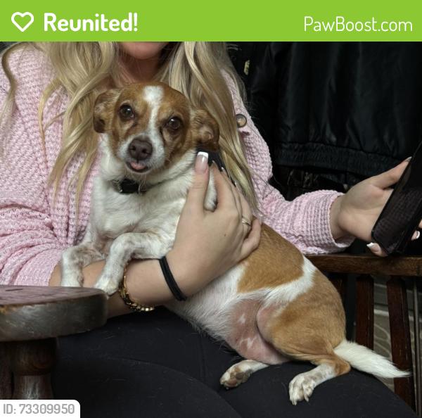 Reunited Female Dog last seen Chain o lakes conservation club, South Bend, IN 46628