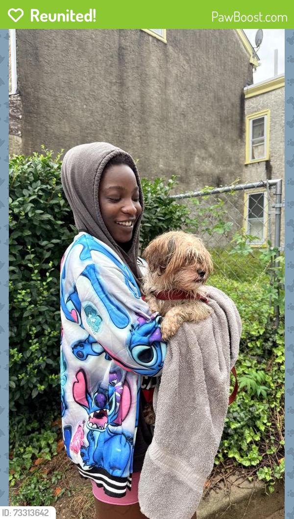 Reunited Unknown Dog last seen E Durham and Bryan street, Philadelphia, PA 19119