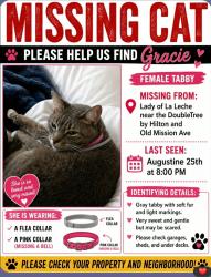 Lost Female Cat last seen Lady of la Leche near double tree by Hilton and old mission ave, St. Augustine, FL 32084