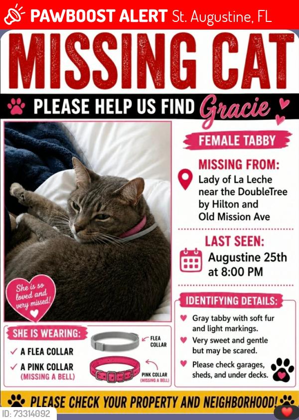 Lost Female Cat last seen Lady of la Leche near double tree by Hilton and old mission ave, St. Augustine, FL 32084
