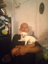 Lost Female Dog last seen 5th street, Los Angeles, CA 90013