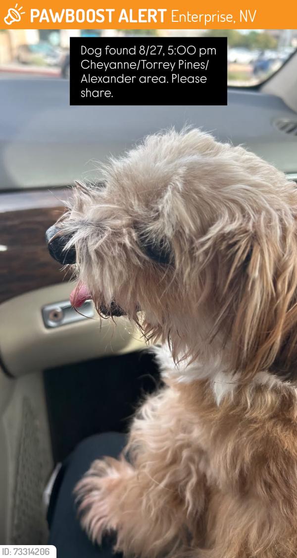 Found/Stray Unknown Dog last seen Torrey Pines/cheyanne/alexander, Enterprise, NV 89139