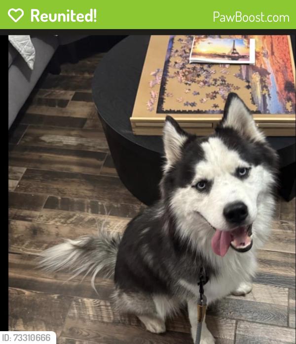 Reunited Male Dog last seen Fort Worth, TX, USA, Fort Worth, TX 76102