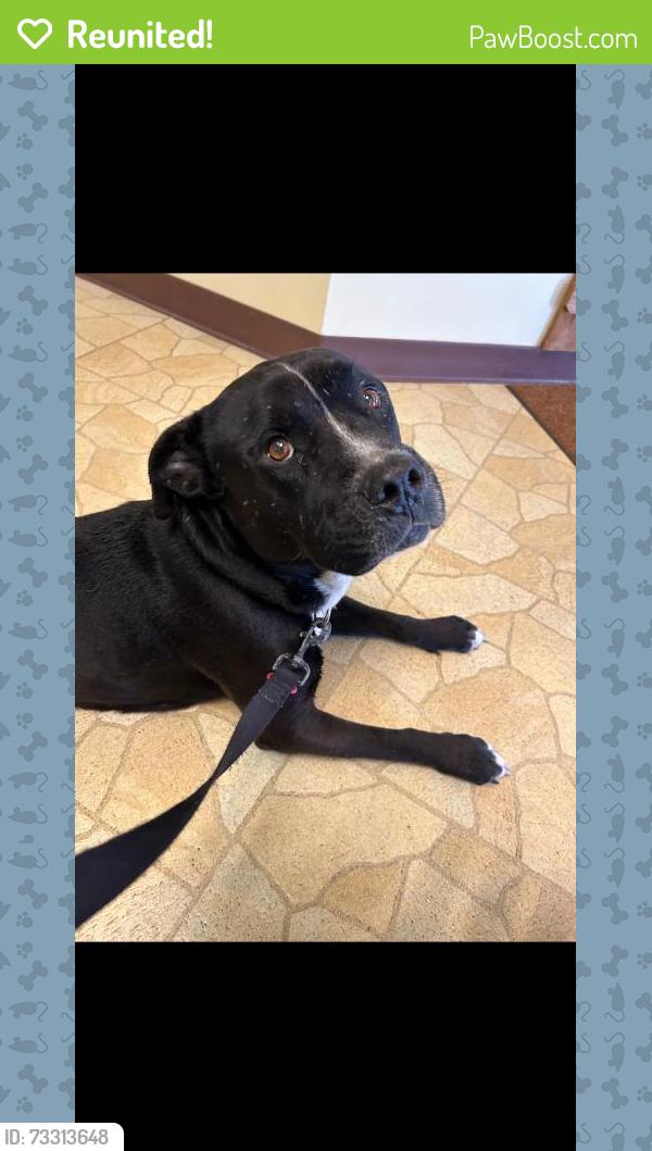 Reunited Male Dog last seen S Pavey Cir, Texas 77358, USA, Walker County, TX 77358