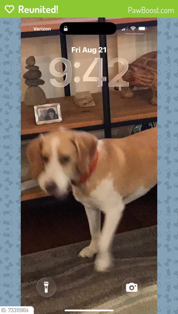 Reunited Male Dog last seen Elam and strickland, Murfreesboro, TN 37127