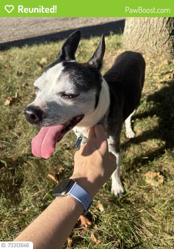 Reunited Male Dog last seen Miles and Milwood Ave, Kalamazoo, MI 49001