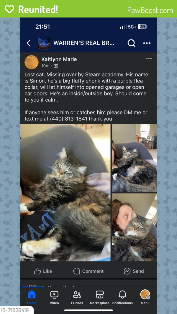 Reunited Male Cat last seen Stream academy, Warren, OH 44483
