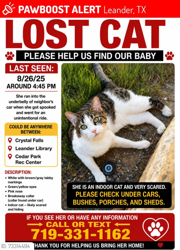 Lost Female Cat last seen Leander Texas, Leander, TX 78641