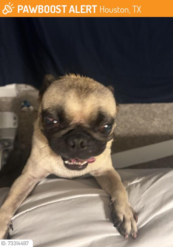 Found/Stray Male Dog last seen Near @ Lakeview Haven, Houston, TX 77095