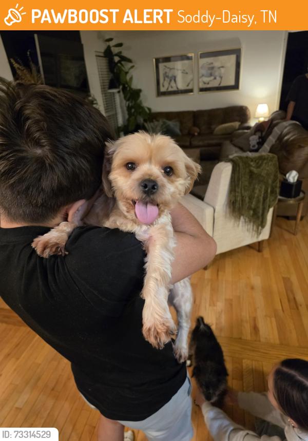 Found/Stray Male Dog last seen Hixson Pike and Tsati terrace, Soddy-Daisy, TN 37379