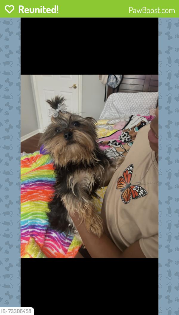 Reunited Female Dog last seen English Oaks & E Bending Oak Ln, Pearland, TX 77581