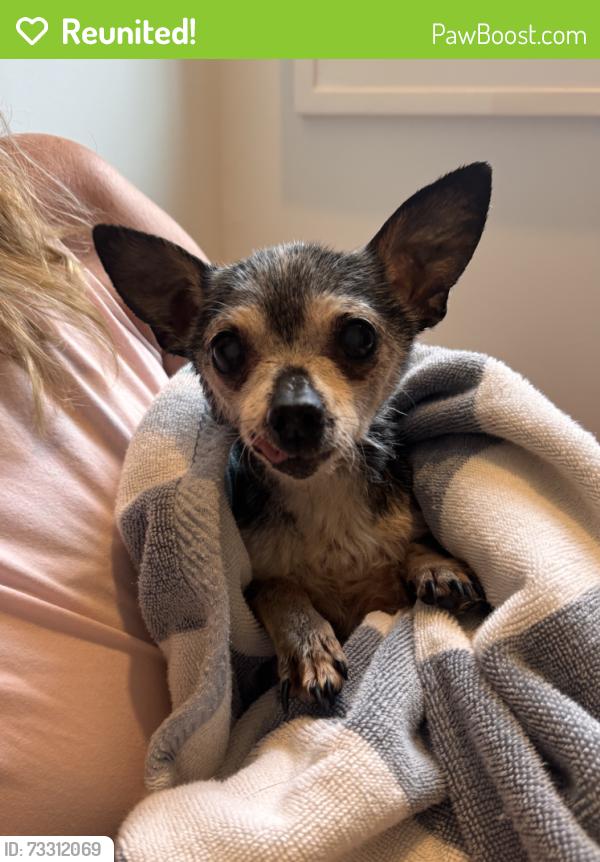 Reunited Male Dog last seen 49th and Indianola, near Arsenal Park, Indianapolis, IN 46205
