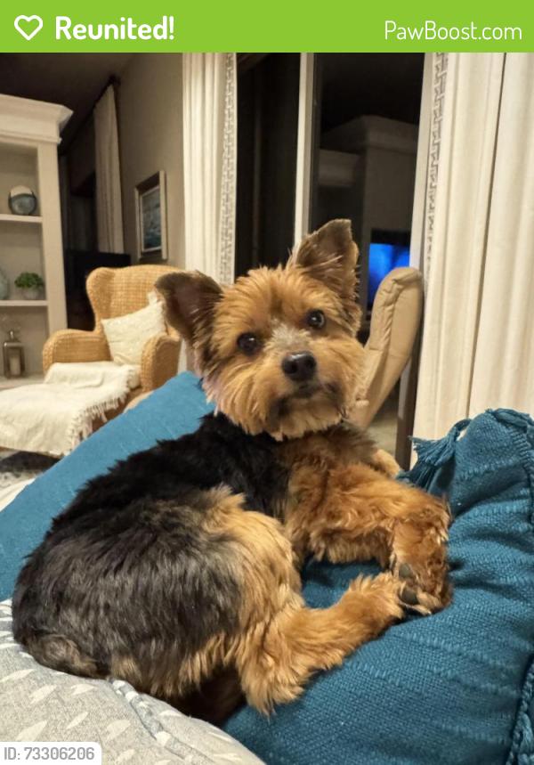 Reunited Female Dog last seen Centerville, Tallahassee, FL 32309