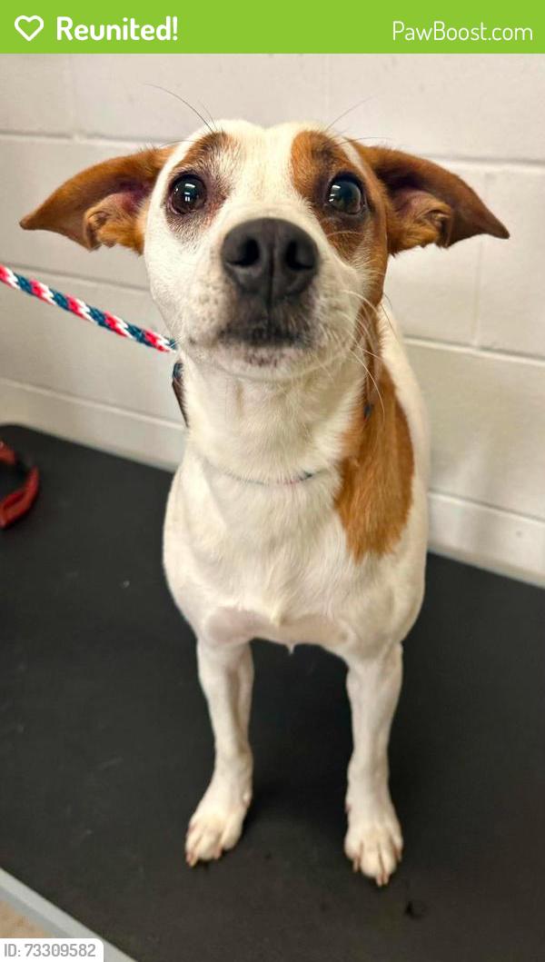 Reunited Male Dog last seen Goodhue between Richmond and Western, Saint Paul, MN 55102