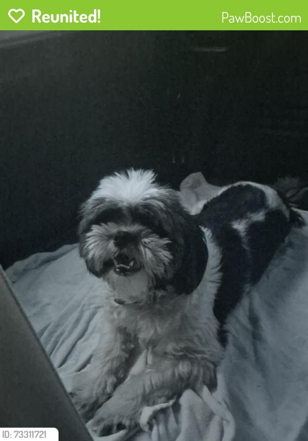 Reunited Unknown Dog last seen Lumbard ave and capital, San Jose, CA 95121